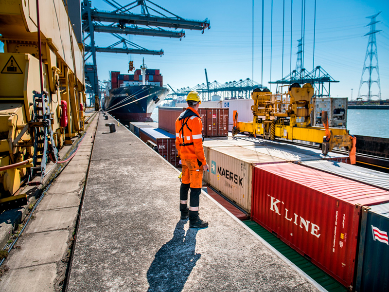 Mueven puertos 650 mil TEUS, carga avanza 3.6% en enero