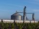 Carga agrícola por ferrocarril crece 14.17% en México