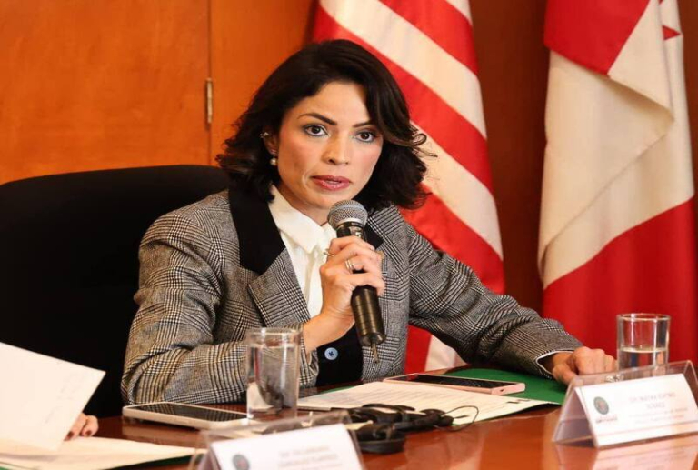 Diputados preparan fideicomiso con cargo a turistas para fondear trenes