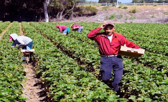 Crece 4.8% actividad primaria; aumenta desafío para coordinar operaciones