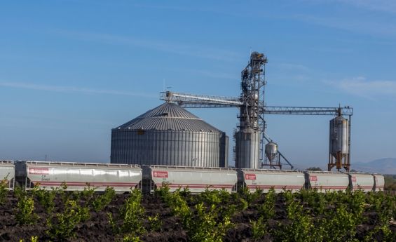 Carga agrícola por ferrocarril crece 14.17% en México