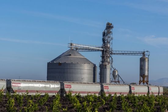 Carga agrícola por ferrocarril crece 14.17% en México