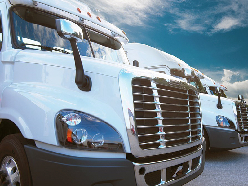 Transporte
