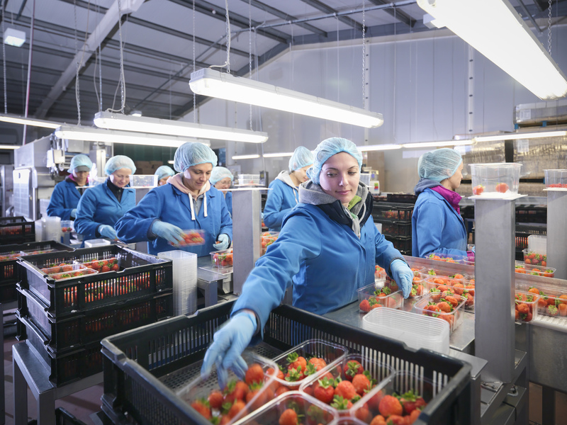 Certificación FSSC 22000 v 6 garantiza la seguridad en toda la cadena de suministro de alimentos