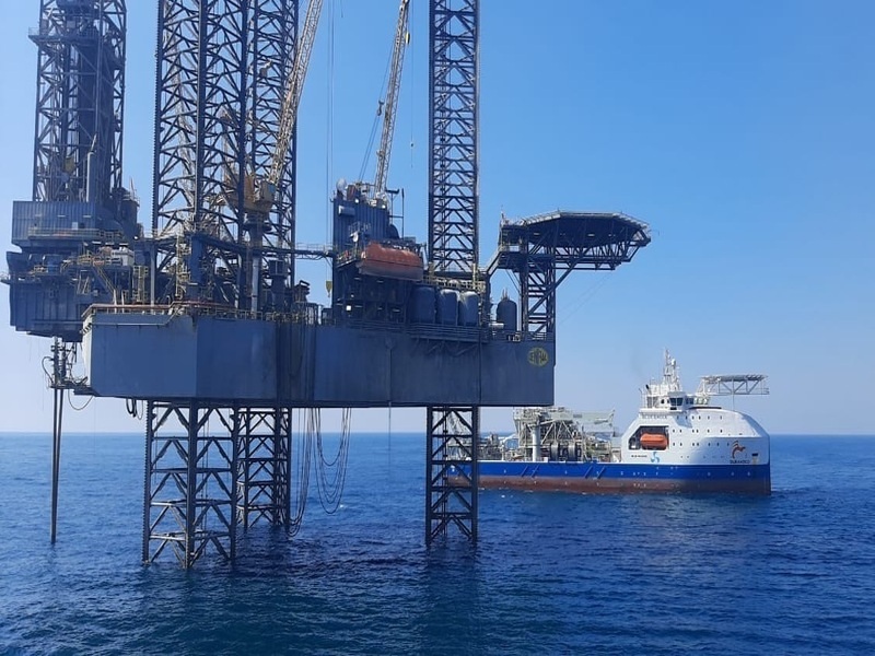 Blue Marine Line alista su entrada al Mar de Cortés con una nueva oferta de servicios de línea